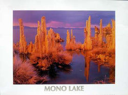 Mono Lake Poster
