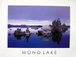 Mono Lake Salts Poster 