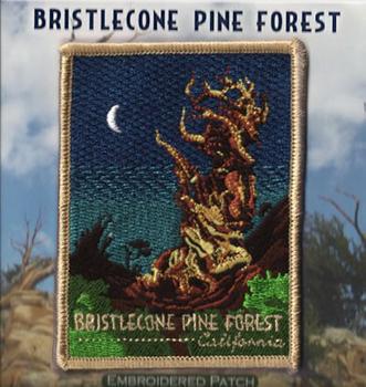 Bristlecone Patch